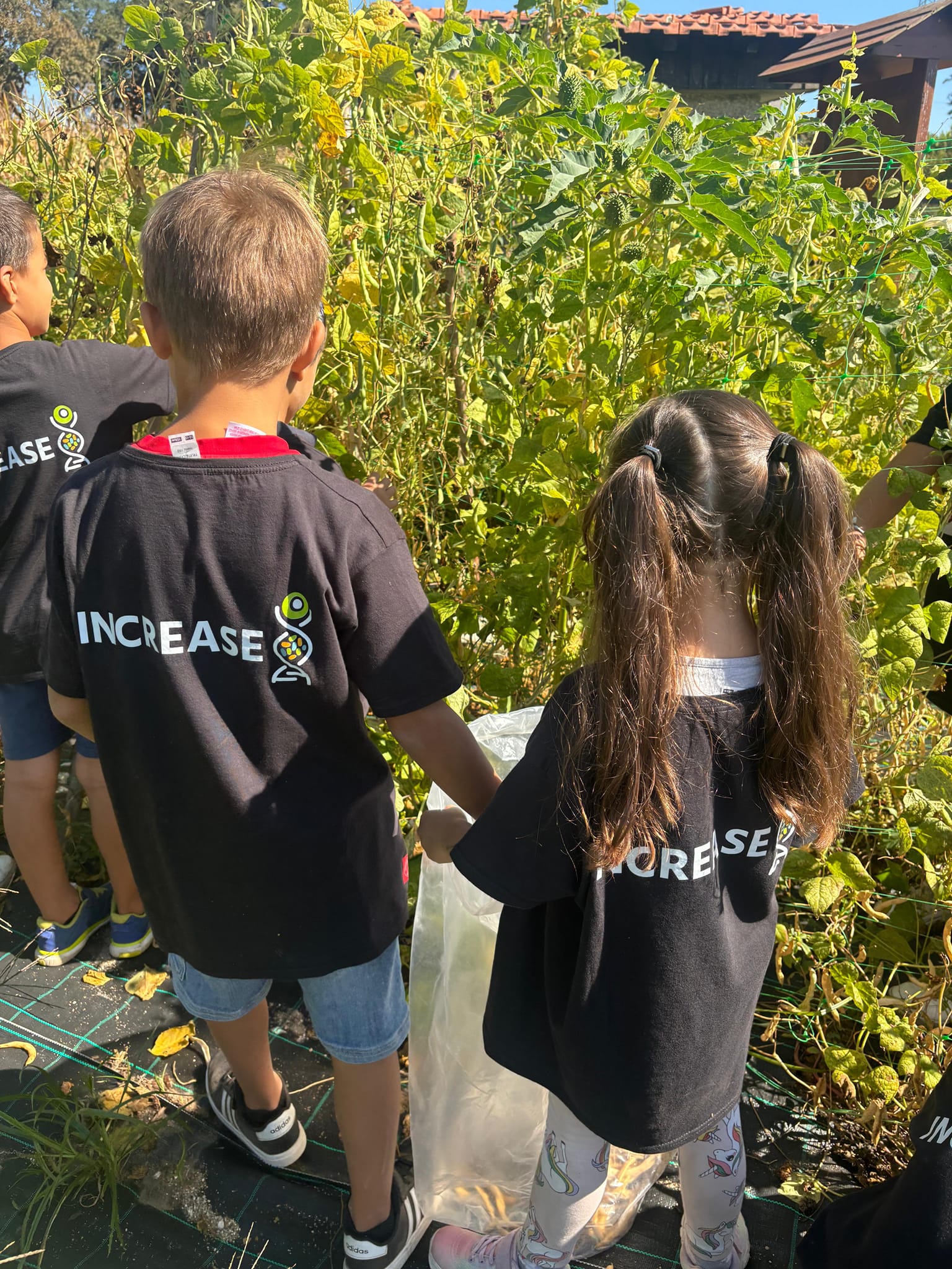 Feature School Portugal